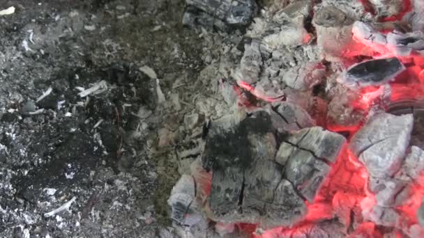 Migotanie Węgla Płonące Tło Węgla Węgiel Kominku — Wideo stockowe