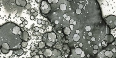 Soyut sanat. Doku sanatı. Arkaplan sanatı. Modern sanat. Malevich tarzı. suluboya ve alkol sanatı