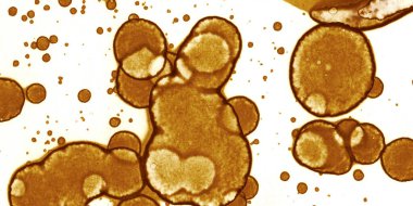 Soyut sanat. Doku sanatı. Arkaplan sanatı. Modern sanat. Malevich tarzı. suluboya ve alkol sanatı