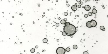 Soyut sanat. Doku sanatı. Arkaplan sanatı. Modern sanat. Malevich tarzı. suluboya ve alkol sanatı