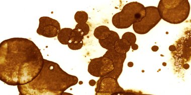 Soyut sanat. Doku sanatı. Arkaplan sanatı. Modern sanat. Malevich tarzı. suluboya ve alkol sanatı