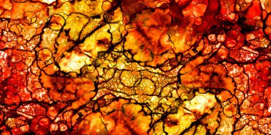 Soyut sanat. Doku sanatı. Arkaplan sanatı. Modern sanat. Malevich tarzı. suluboya ve alkol sanatı