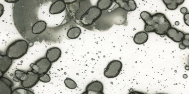 Soyut sanat. Doku sanatı. Arkaplan sanatı. Modern sanat. Malevich tarzı. suluboya ve alkol sanatı