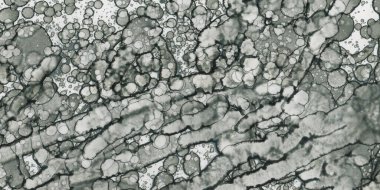 Soyut sanat. Doku sanatı. Arkaplan sanatı. Modern sanat. Malevich tarzı. suluboya ve alkol sanatı