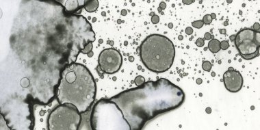 Soyut sanat. Doku sanatı. Arkaplan sanatı. Modern sanat. Malevich tarzı. suluboya ve alkol sanatı