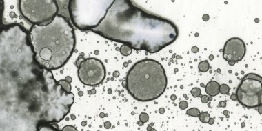 Soyut sanat. Doku sanatı. Arkaplan sanatı. Modern sanat. Malevich tarzı. suluboya ve alkol sanatı