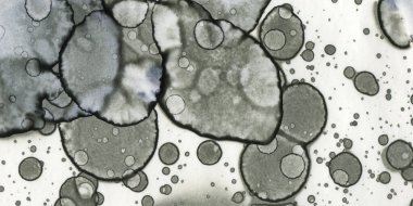 Soyut sanat. Doku sanatı. Arkaplan sanatı. Modern sanat. Malevich tarzı. suluboya ve alkol sanatı