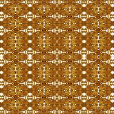 Kusursuz desen. Kusursuz bir geçmişi var. Yaratıcı soyut doku. Etnik desen