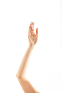 hand and arm of woman clipart