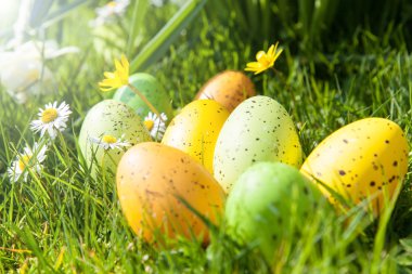 Renkli Paskalya yumurtaları