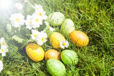 Renkli Paskalya yumurtaları