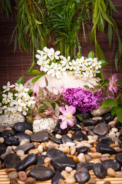 Aromaterapia Spa Zabiegi Kosmetyczne Tło Wellness Kamieniem Masażu Kwiaty — Zdjęcie stockowe