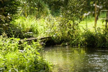 Küçük, vahşi bir dere boyunca uzanan küçük sevimli bir köprü.