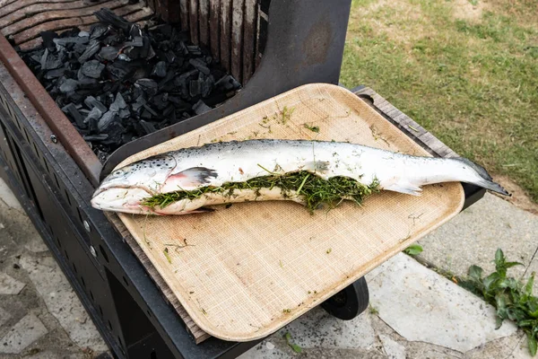 Salmón Relleno Hierbas Para Asar Barbacoa —  Fotos de Stock