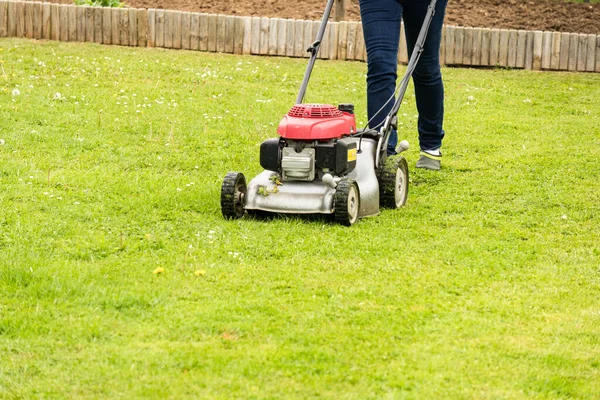 Woman Mows Her Green Lawn Summer — Stock Photo, Image