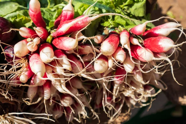 Rábanos Ecológicos Pequeño Mercado Agricultores Locales — Foto de Stock