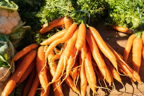 Zanahorias Orgánicas Frescas Mercado Agricultores Locales —  Fotos de Stock