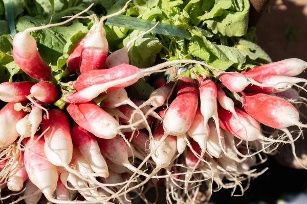 Organic Radishes Small Local Farmers Market — Stock Photo, Image