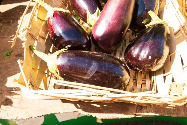Organic Eggplants Small Farmers Market — Stock Photo, Image