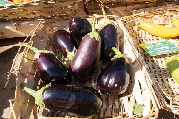 Organic Eggplants Small Farmers Market — Stock Photo, Image