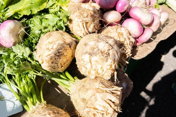 Organic Celeriac Small Farmers Market — Stock Photo, Image