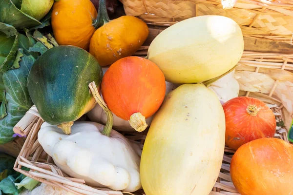 Different Types Organic Squash Small Farmers Market — Stock Photo, Image