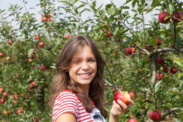 Woman in apple orchard — Stock Photo, Image