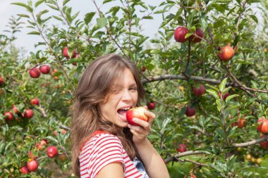 Kadın elma bahçesi