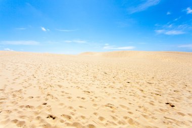 Dune Pilat, Fransa