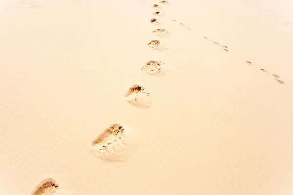 Empreintes de pas sur dune de sable . — Photo