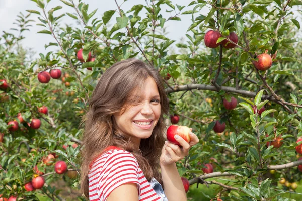 Kadın holding elma — Stok fotoğraf
