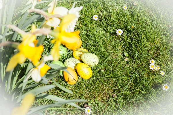 Gekleurde paaseieren — Stockfoto