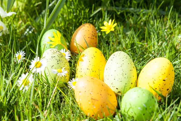 Huevos de Pascua coloreados — Foto de Stock