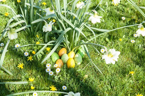 Huevos de Pascua coloreados — Foto de Stock