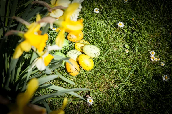 Huevos de Pascua coloreados — Foto de Stock