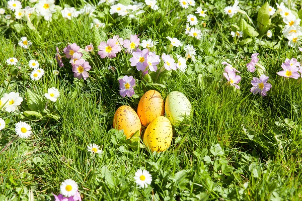 Färgade påskägg — Stockfoto