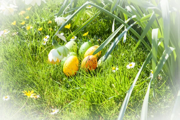 Renkli Paskalya yumurtaları — Stok fotoğraf