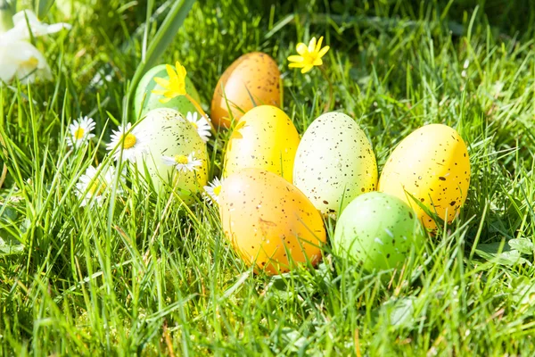 Huevos de Pascua coloreados — Foto de Stock