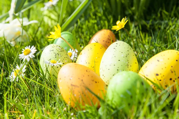 Huevos de Pascua coloreados — Foto de Stock