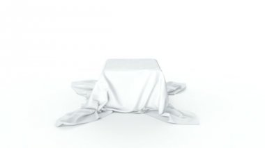 mal bir beyaz bezle kaplı. Beyaz izole. siyah-beyaz maske