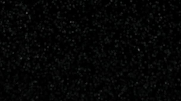 et la neige a commencé à tomber. animation full hd 