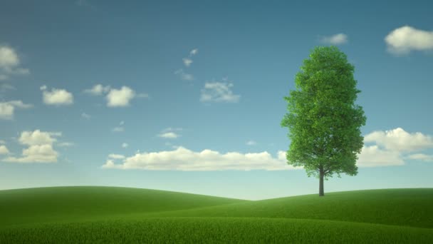 arbre solitaire au milieu du champ. le paysage fabuleux 