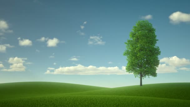 Árbol solitario en medio del campo. el fabuloso paisaje — Vídeo de stock