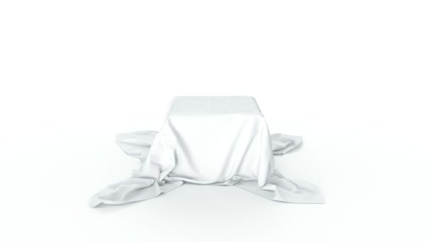 The goods covered with a white cloth.  Isolated on white.  black-and-white mask — Stock Video