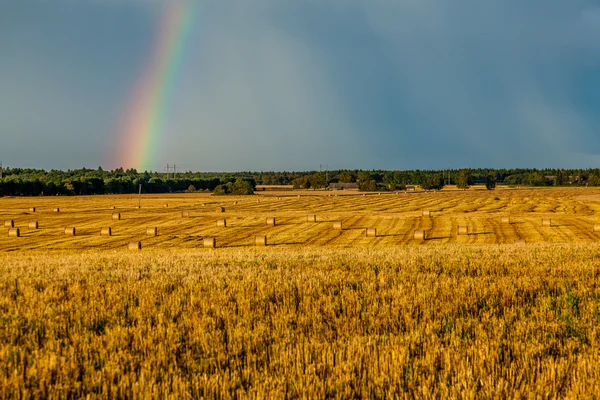 Paesaggio delle balle di paglia — Foto Stock