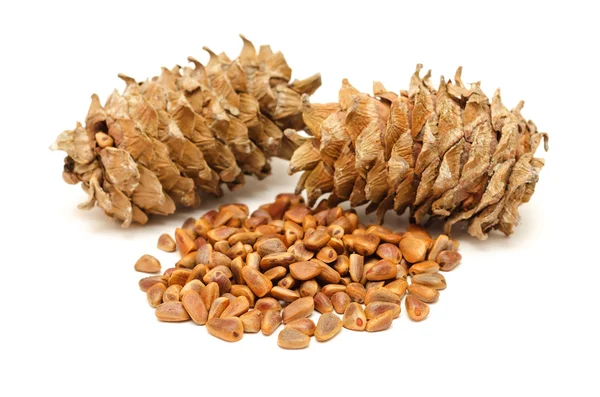 Sedir kozalakları ve beyaz arka plan üzerinde tohum