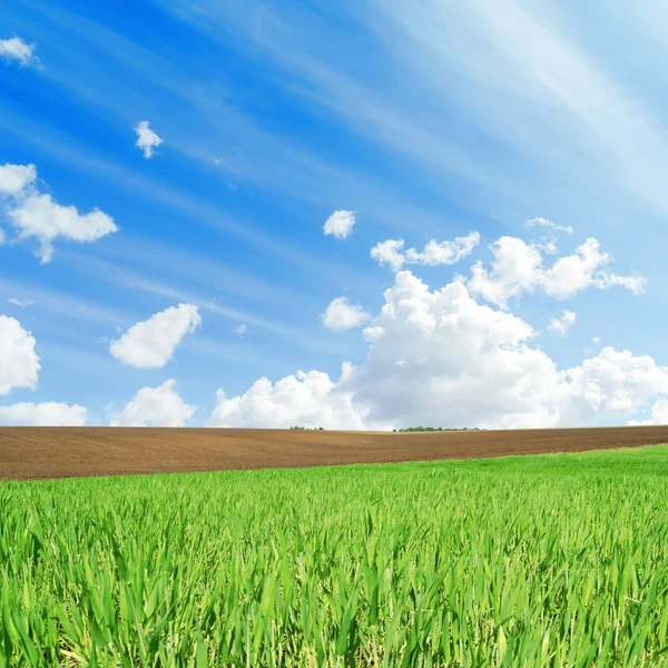 Champs verts et noirs de l'agriculture et les nuages blancs dans le ciel bleu — Photo