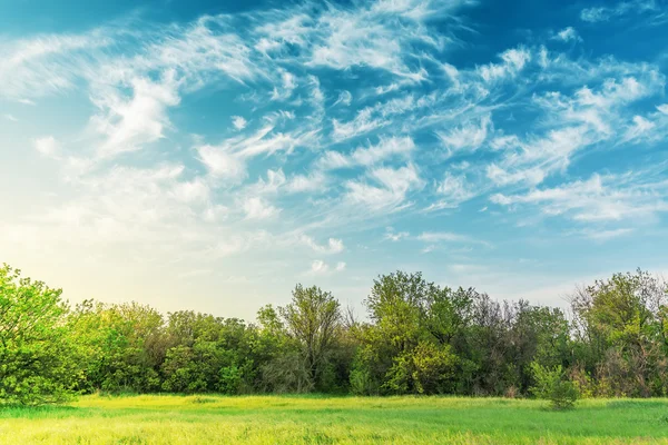 Zonsondergang over de groene weide en bomen in bewolkte hemel — Stockfoto