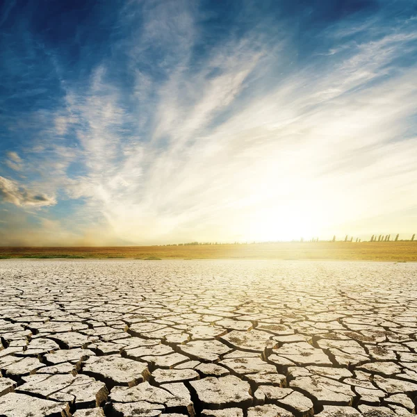 Puesta de sol sobre el desierto agrietado — Foto de Stock