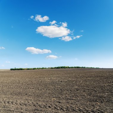 Bahar zenci tarım alanı ve mavi gökyüzü